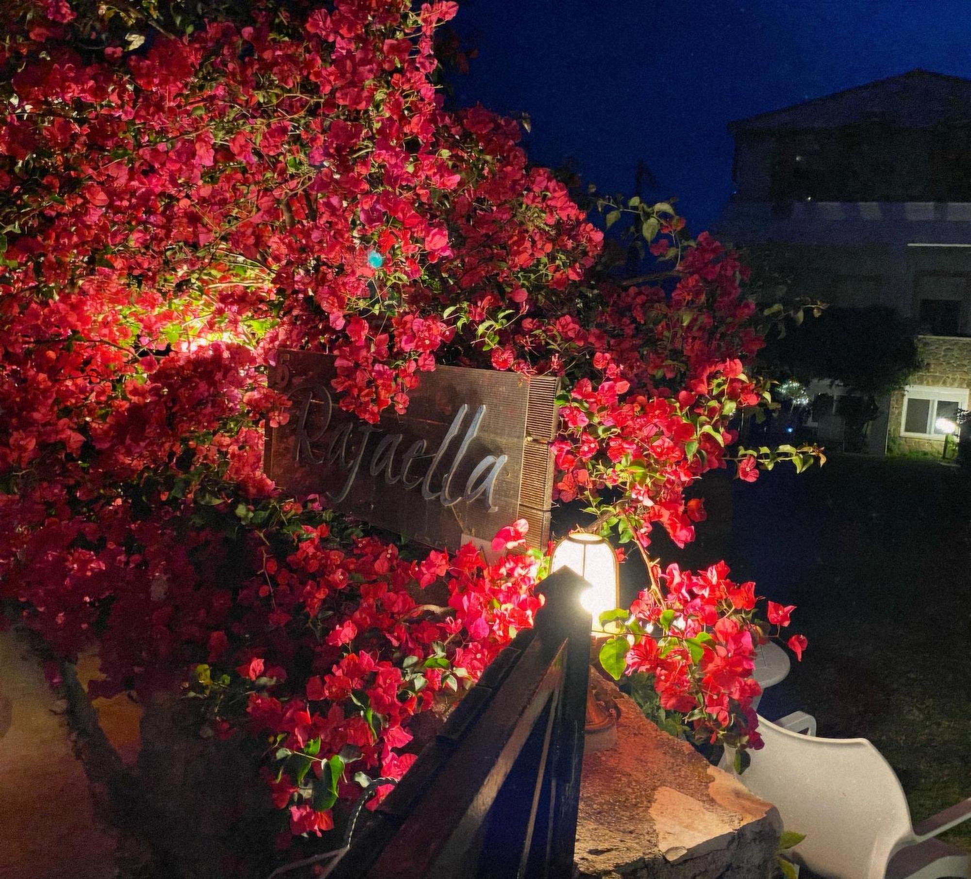 Irene'S Maisonette At Rafaella Resort Kokkónion 외부 사진